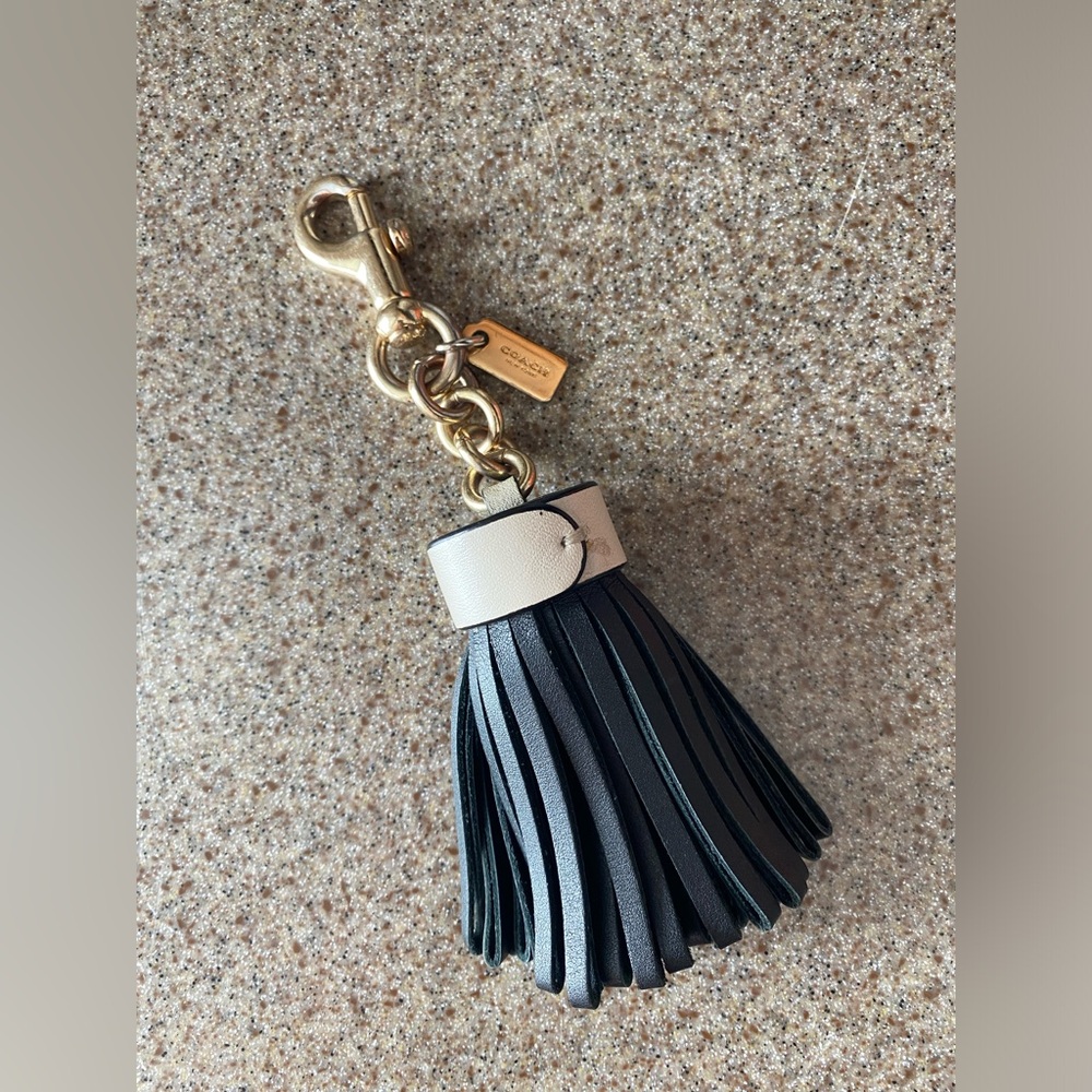 Coach Leather Tassel Bag Charm Model F58505